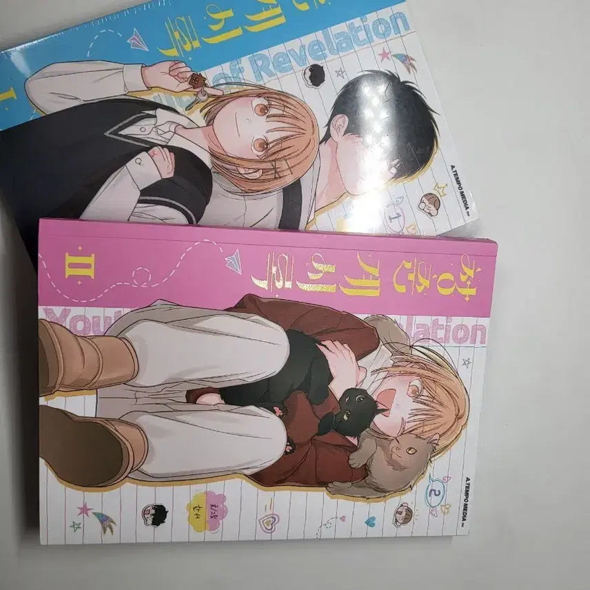 [BUNJANG] Youth Chronicle Vol. 1, 2 / 급전)청춘계시록 1,2권