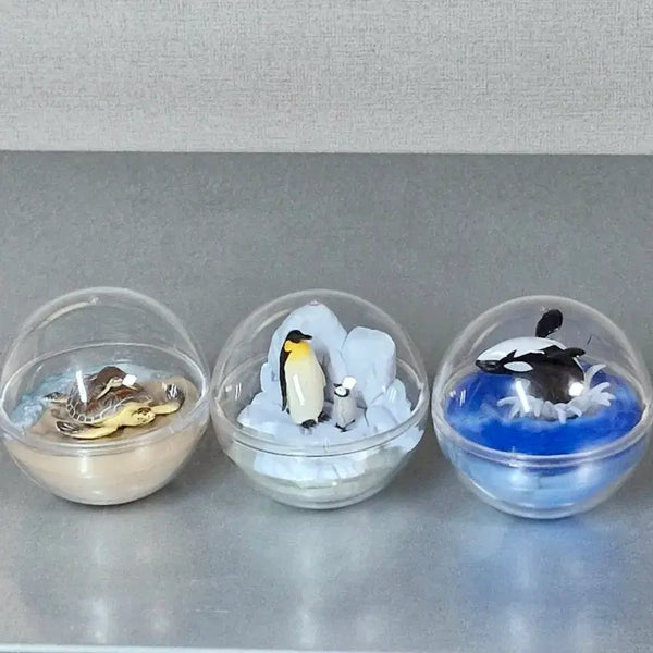 [BUNJANG] Marine Life Terrarium Gacha Turtle Penguin Orca Bundle Set / 일괄) 해양생물 테라리움 가챠 거북이 펭귄 범고래