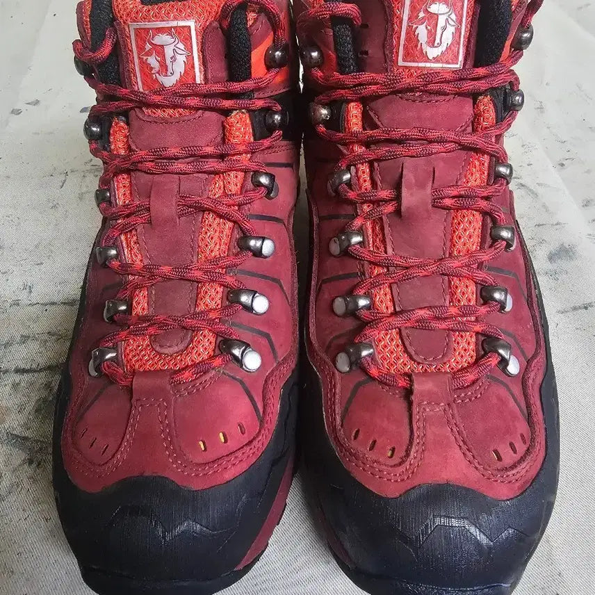 [BUNJANG] Red Gore-Tex Professional Hiking Boots 250mm / 레드 고어텍스 전문가용 250미리 등산화/트래킹화