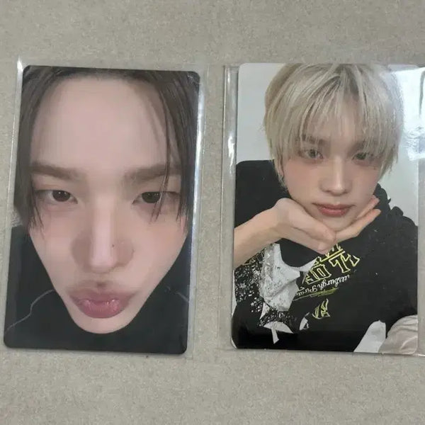 [BUNJANG] TWS Shinyu Showket Live Lucky Draw POB Bundle Set Photocard / 투어스 신유 아궁빵 얼빡 특전 세트 쇼케라이브 럭드 포카 양도 tws