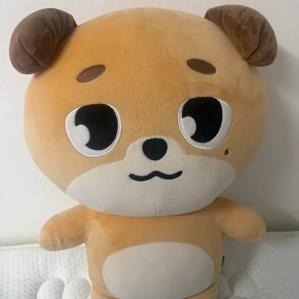 [BUNJANG] DAY6 Jammer Doll / 데이식스 자멀 돈이