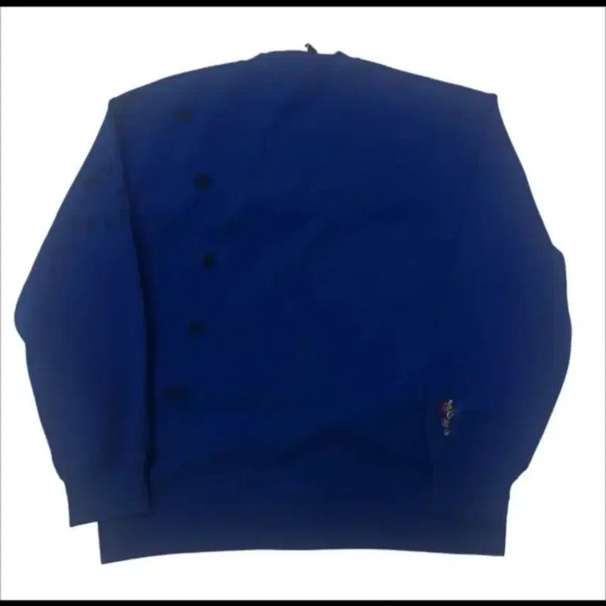 [BUNJANG] Songzio Homme Blue Artwork Sweatshirt / 송지오옴므 블루 아트워크맨투맨