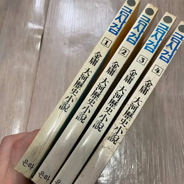 [BUNJANG] Kim Yong Wuxia Novel Geumsageom (Byukyeolgeom) Volumes 1-4 Complete Set / (최종가)김용 무협소설 금사검(벽혈검) 1~4(완) 팝니다.