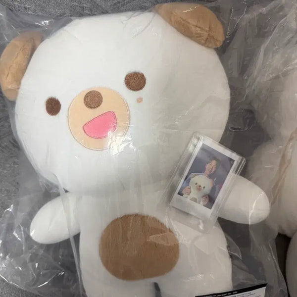 [BUNJANG] JYP MERCH DON Photocard Bundle Set / 자쁘멀 돈 양도