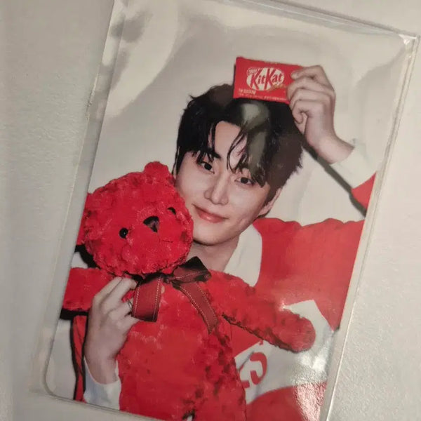 [BUNJANG] Day6 Young K KitKat Photocard / 데이식스 영케이 킷캣 포토카드