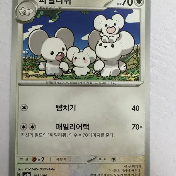 [BUNJANG] Cute Pokemon Card Family / [귀여운 포켓몬카드] 파밀리쥐