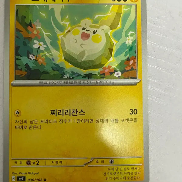 [BUNJANG] Cute Pokemon Card Togedemaru / [귀여운 포켓몬카드] 토게데마루