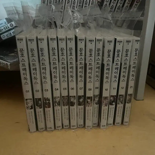 [BUNJANG] Bungo Stray Dogs Manga Volumes 1-12, 21 / 문호 스트레이독스