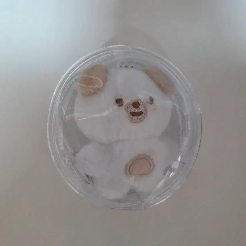 [BUNJANG] BBPmal Don Backpack Don / 데이식스 쁘쁘멀 돈+백팩 돈