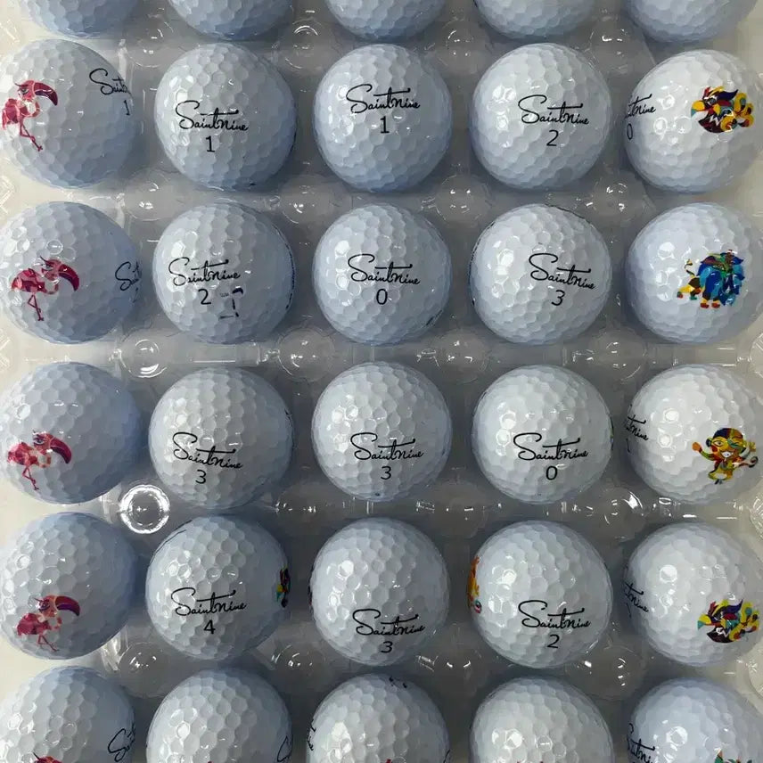 [BUNJANG] Saintnine Lost Ball Golf Balls White / 세인트나인 로스트볼 골프공 화이트 컬러