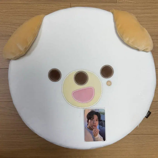 [BUNJANG] DAY6 DAYMALS Petitmals Dowoon Cushion Pillow Photocard / 데이식스 팬미팅 엠디 데니멀즈 쁘띠멀즈 도운 방석 포카 포함