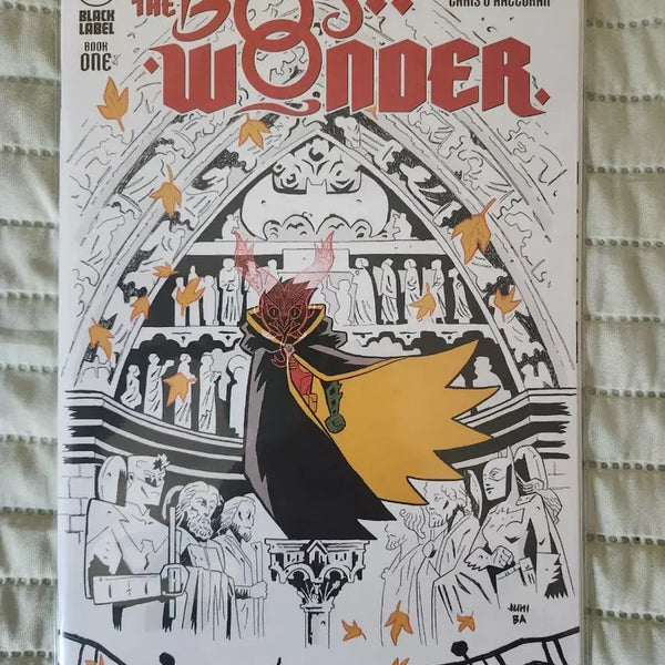 [BUNJANG] DC Comics The Boy Wonder / DC 코믹스 더 보이 원더
