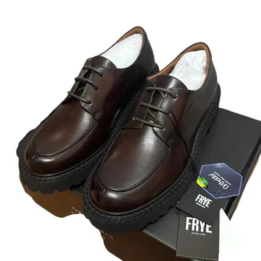 [BUNJANG] FRYE Men's Leather Derby Shoes Brown 270 / (새상품) 프라이(FRYE) 남성 소가죽 더비슈즈 270 브라운