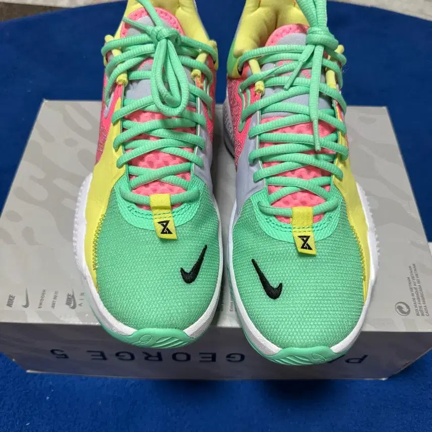[BUNJANG] Nike PG 5 Basketball Shoes / 나이키 pg5 도터스