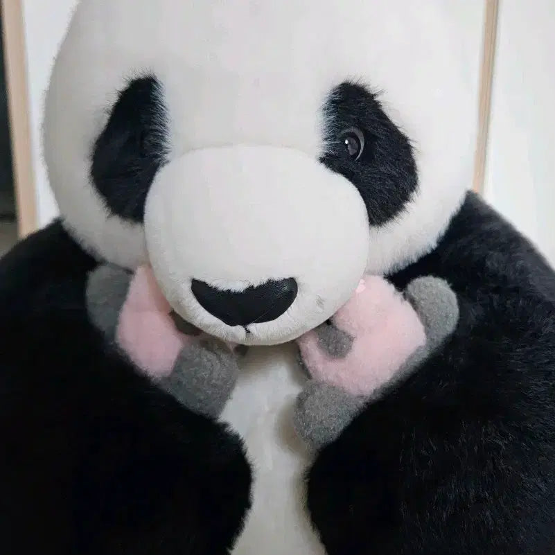 [BUNJANG] Aibao Twin Dolls / 아이바오 쌍둥이인형