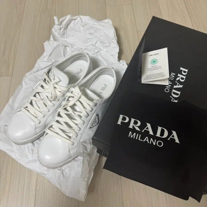 [BUNJANG] Prada White Sneakers / 프라다 화이트 스니커즈 팝니다(285)