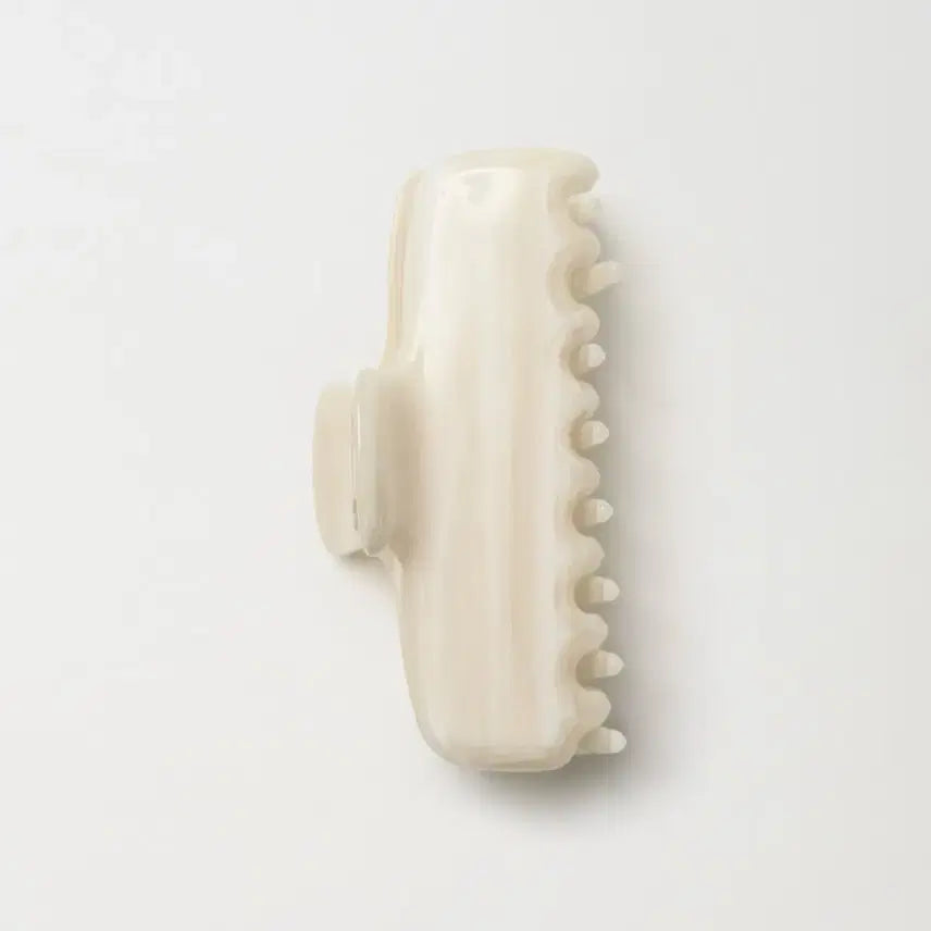 [BUNJANG] Arto Claw Clip / 아르토 claw clip 집게핀