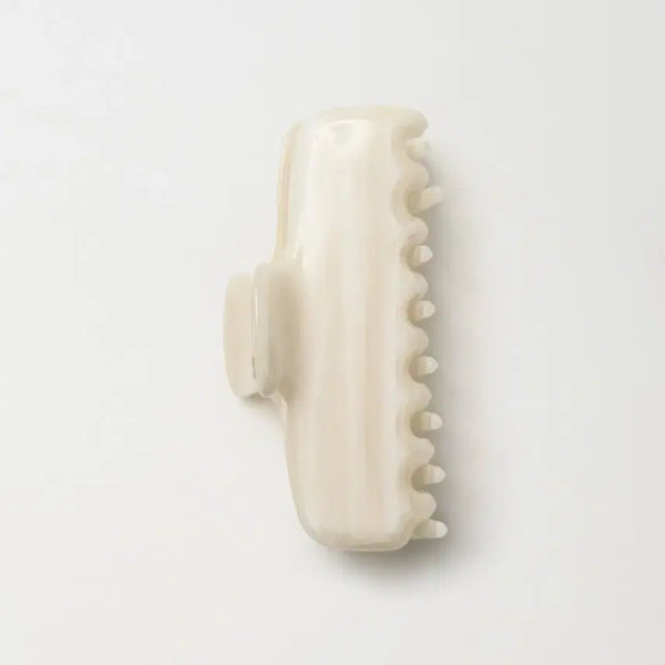 [BUNJANG] Arto Claw Clip / 아르토 claw clip 집게핀
