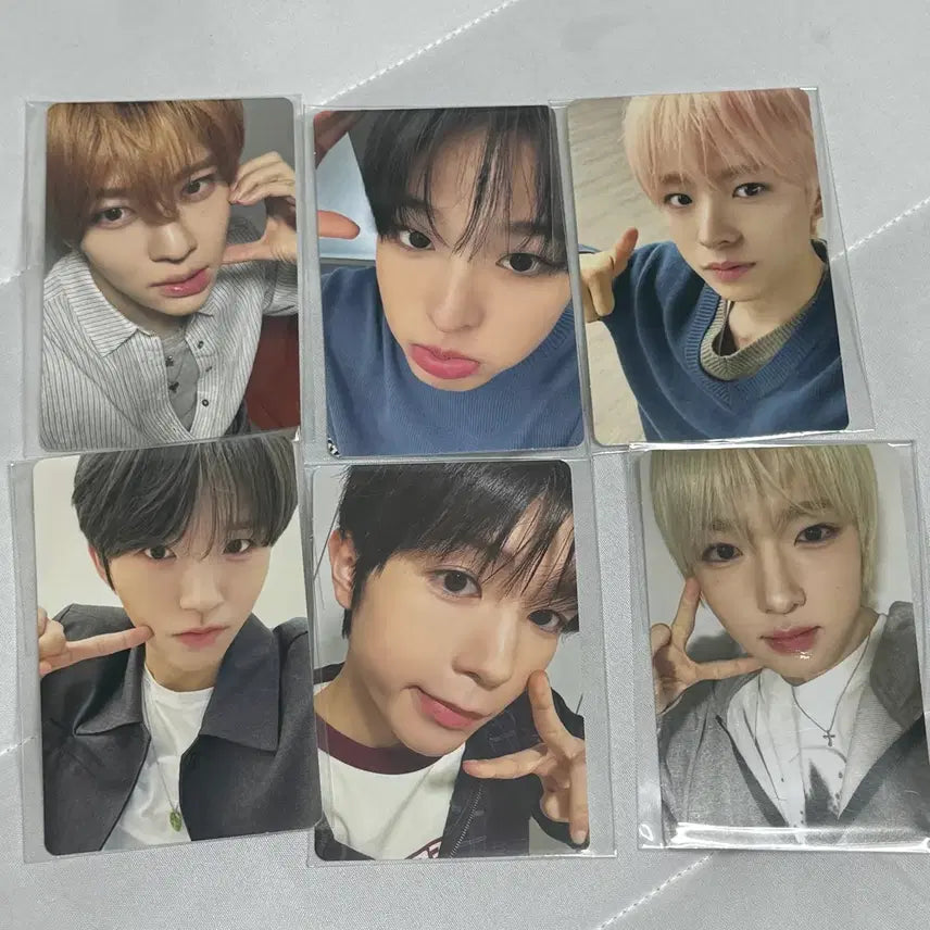 [BUNJANG] NCT WISH Berries Fanmeeting POB Photocard Set / (현물)엔시티위시 베리즈 대면 팬싸 미공포 포카