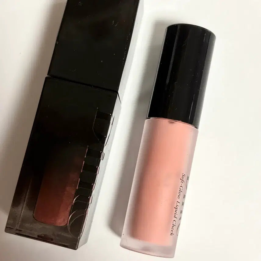 [BUNJANG] Dinto Blurgloy Lip Tint 205 Justitia + Cheek / 딘토 블러글로이 립 틴트 205 유스티티아 + 치크