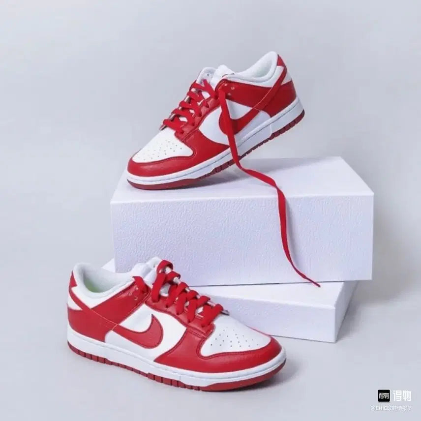 [BUNJANG] Nike Dunk Low Next Nature Gym Red / (W265/M260) 나이키 덩크 로우 넥스트 네이쳐 짐레드