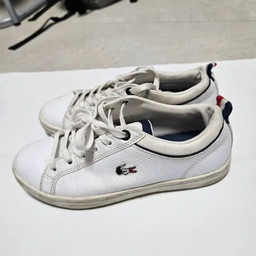 [BUNJANG] Lacoste White Sneakers / 최저가!!!라코스테 흰색 운동화 225
