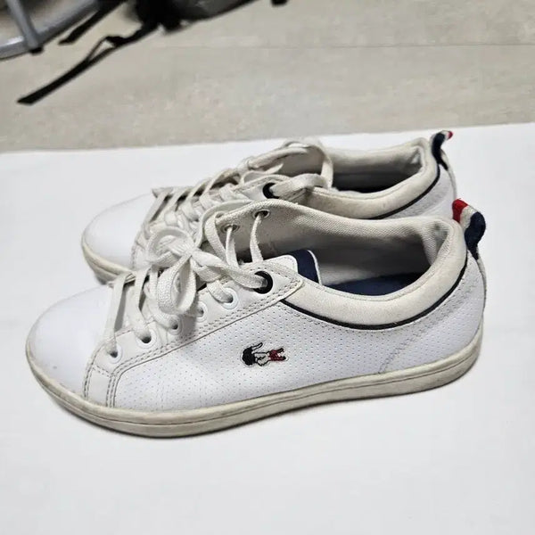 [BUNJANG] Lacoste White Sneakers / 최저가!!!라코스테 흰색 운동화 225