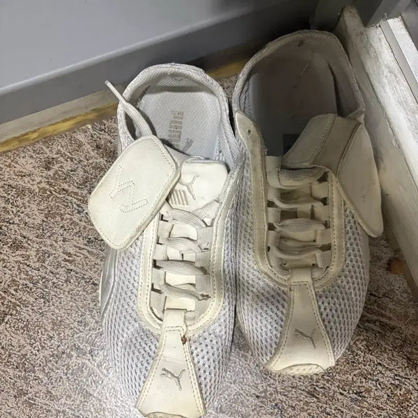 [BUNJANG] Puma White Sneakers / 푸마 흰색 운동화