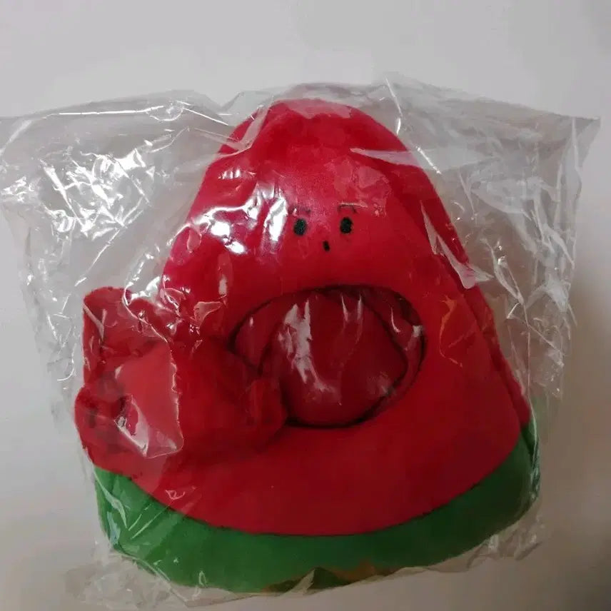 [BUNJANG] NCT Watermelon Plushie Outfit / 엔시티 수박 인형옷