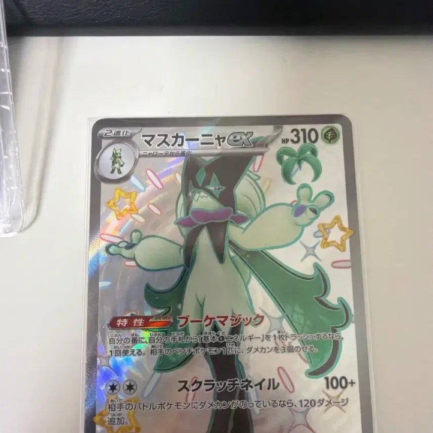 [BUNJANG] Mascarana SSR Japanese Edition / 마스카나 ssr 일판