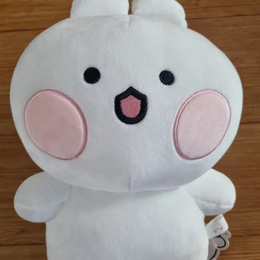 [BUNJANG] Gomdoljjing Tokkijjing M Rabbit Plush Doll / 곰돌찡토끼찡 M 토끼찡 인형