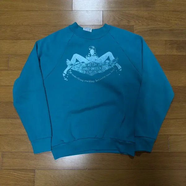 [BUNJANG] Vintage 90s Harley Davidson Sweatshirt / 빈티지 90s 할리 데이비슨 스웻셔츠