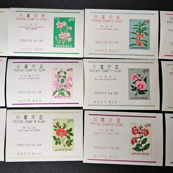 [BUNJANG] Plant Series Sheet Set (12 Types) / 식물시리즈 시트 12종