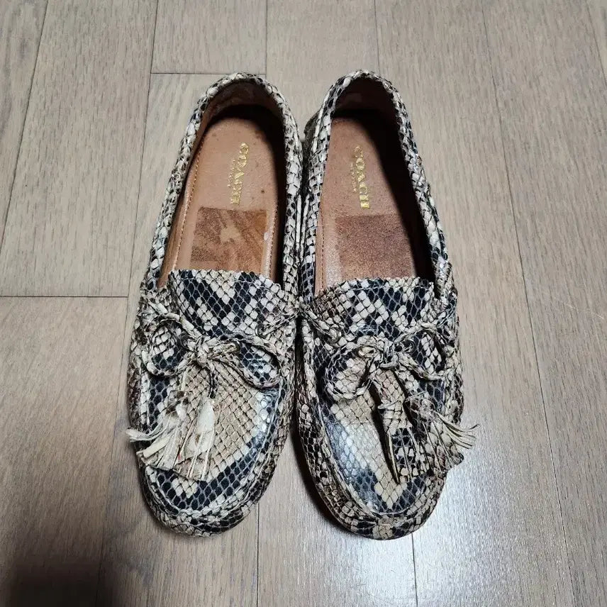 [BUNJANG] Coach Nadia Snake Loafers / 코치 나디아 스네이크 로퍼