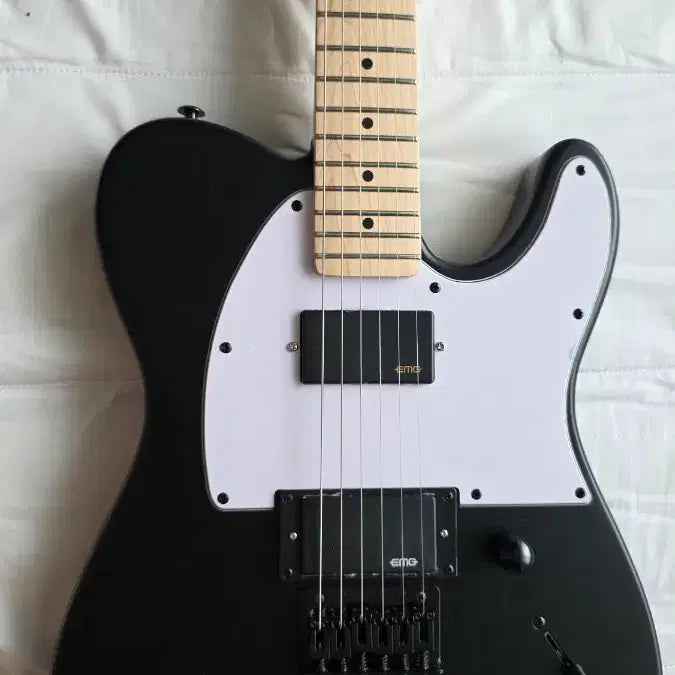 [BUNJANG] Jim Root Telecaster Style Electric Guitar Kit (Bag Included, Beginner) / [새상품] 짐루트 텔레캐스터 조립품 (가방포함, 입문용)