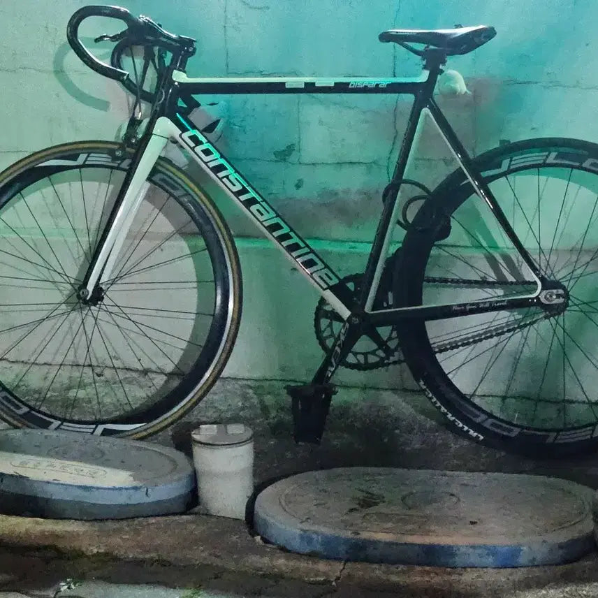 [BUNJANG] Constantine Disperal Track Bike / 콘스탄틴 디스페랄 글 읽어보세요.