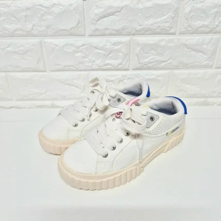 [BUNJANG] National Geographic Arc Canvas Sneakers / 내셔널지오그래픽 235mm(230~235)아크 캔버스 스니커즈(세탁