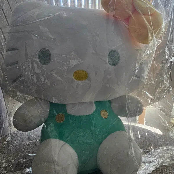 [BUNJANG] Sanrio Mint Hello Kitty Plush Doll / [택달린새상품]산리오의 민트 헬로키티 인형