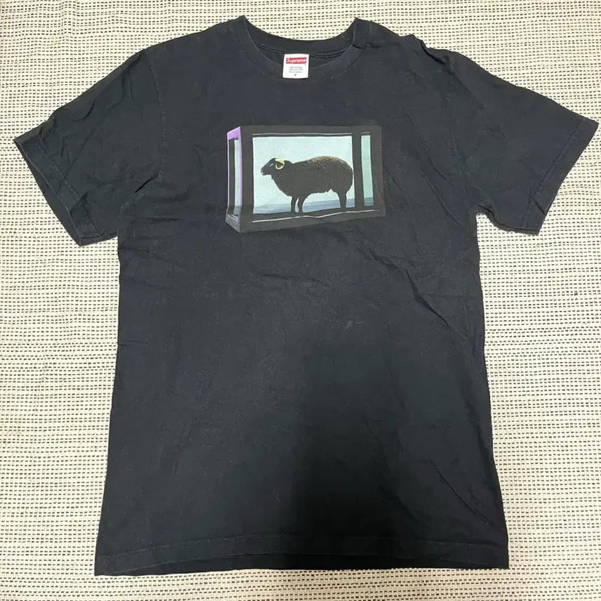 [BUNJANG] Supreme Damian Hirst T-Shirt / 25s 슈프림 데미안 허스트 티셔츠