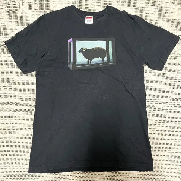 [BUNJANG] Supreme Damian Hirst T-Shirt / 25s 슈프림 데미안 허스트 티셔츠