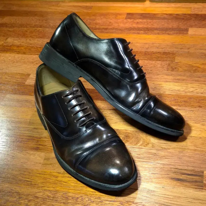 [BUNJANG] TANDY Straight Tip Dress Shoes (Size 245) / 탠디 스트레이트팁 정장구두 245 2회착용