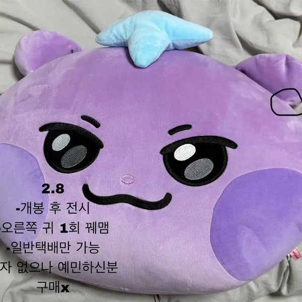 [BUNJANG] MIGHTYZ Saniyo Face Cushion / 마이티즈 사니요 페이스 쿠션