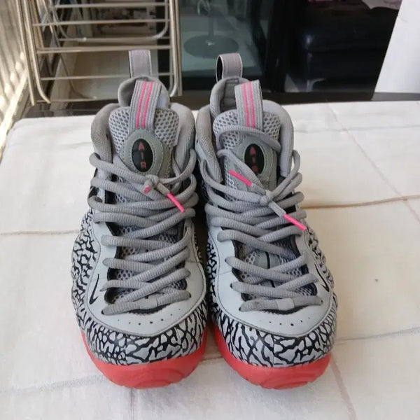 [BUNJANG] Nike Foamposite Grey Elephant Pattern / 나이키 폼포짓