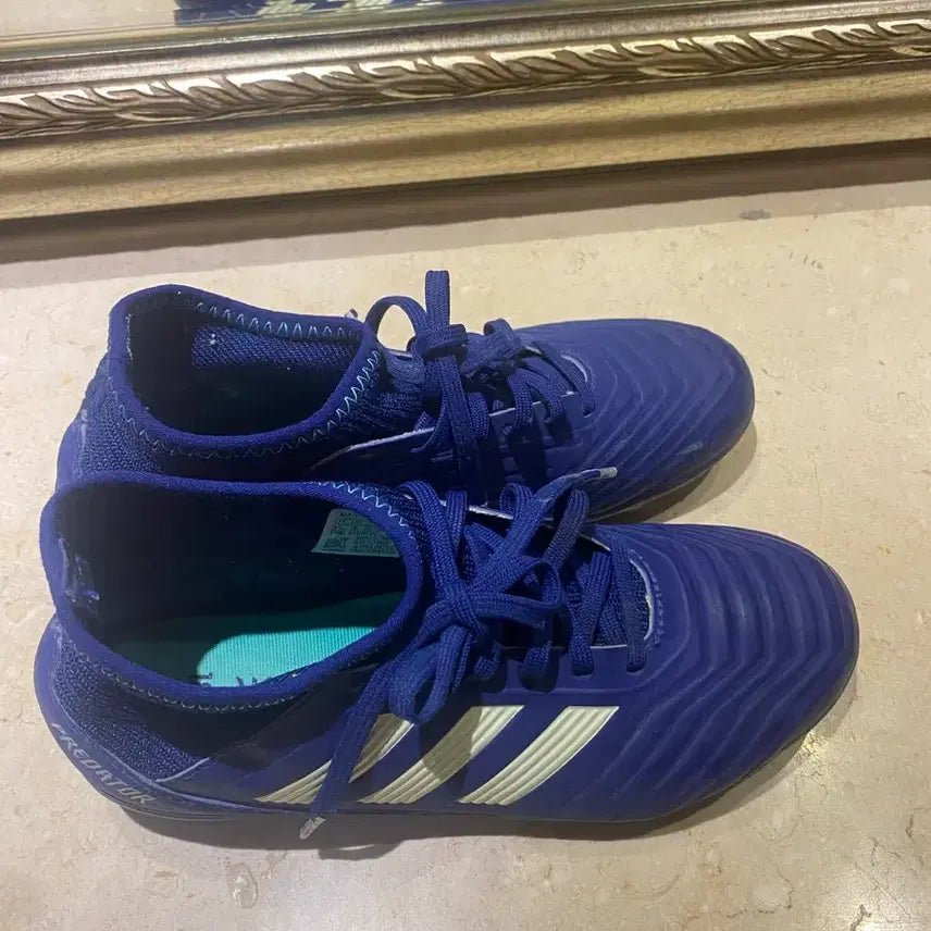 [BUNJANG] Adidas Predator Football Boots Size 220 / 아디다스 프레데터 축구화 220