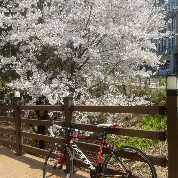 [BUNJANG] Felt Road TT Bike MTB / 펠트 로드 s22 tt기반 자전거 mtb 대차만 합니다