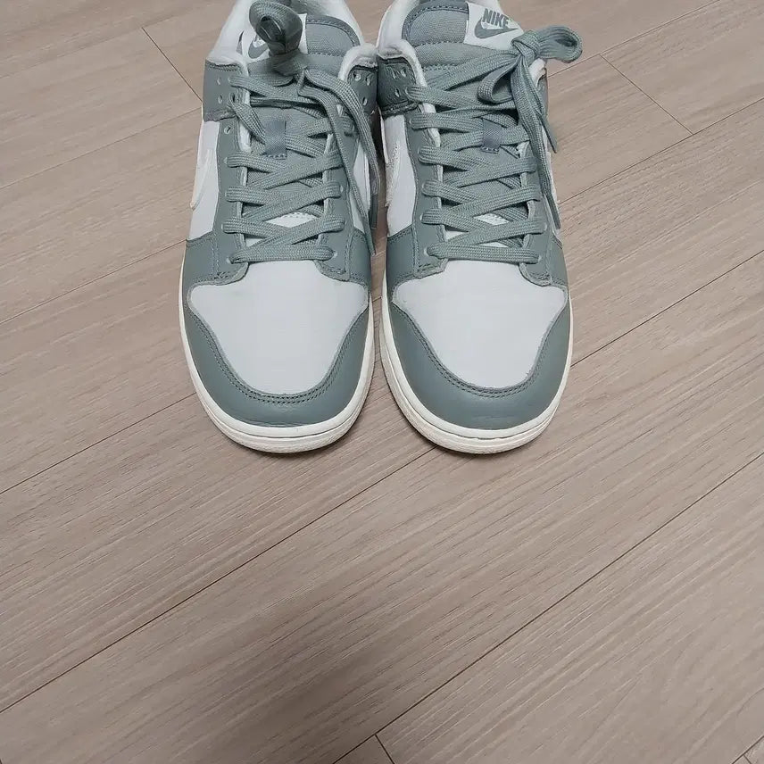 [BUNJANG] Nike Dunk Low Retro Premium Mica Green / 나이키 덩크로우 레트로 프리미엄 마이카그린 270