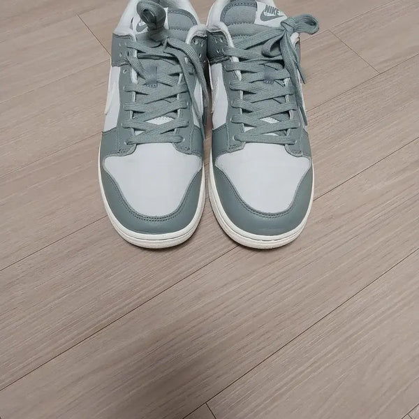 [BUNJANG] Nike Dunk Low Retro Premium Mica Green / 나이키 덩크로우 레트로 프리미엄 마이카그린 270