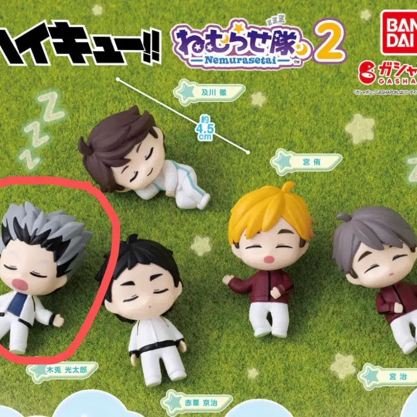 [BUNJANG] Haikyuu!! Nemurase-tai Bokuto Koutarou Gacha Figure / 하이큐 네무라세타이 잠자는 대열 보쿠토 가챠 피규어