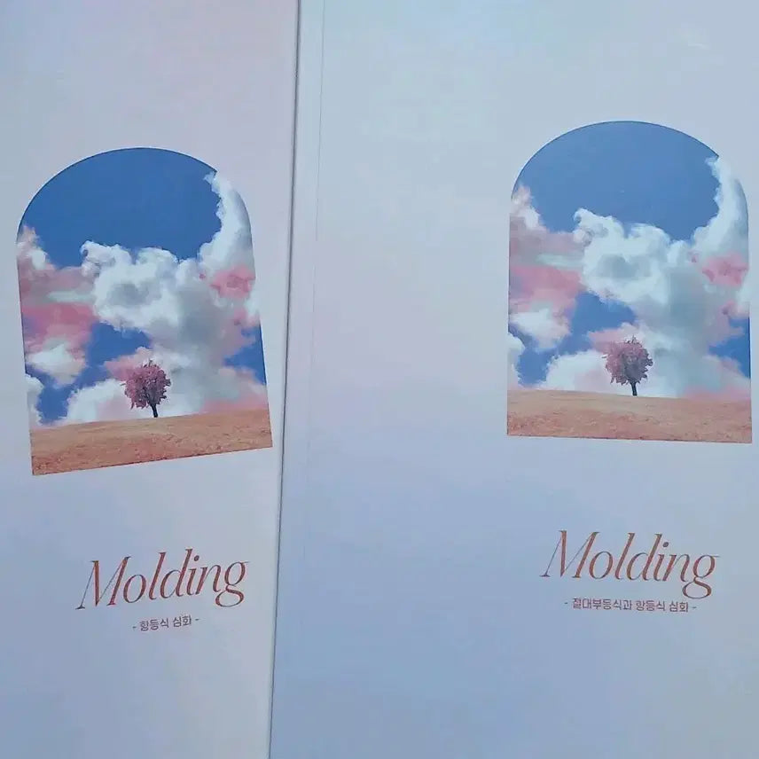 [BUNJANG] Sidae Injae Choi Ji-wook T Molding Math Workbook Set / 2027 시대인재 최지욱T 몰딩 수학 문제집