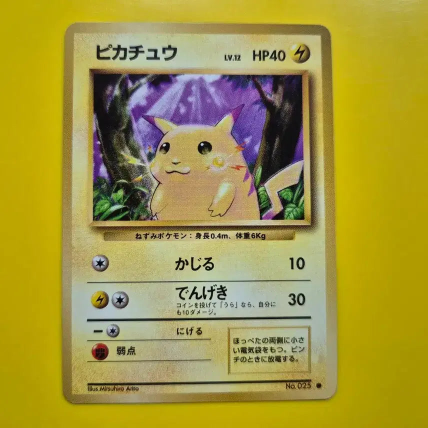 [BUNJANG] Pokemon Card Pikachu 1st Edition Japanese / 포켓몬카드 1996 큰 피카츄 초판 일판 일본판 7